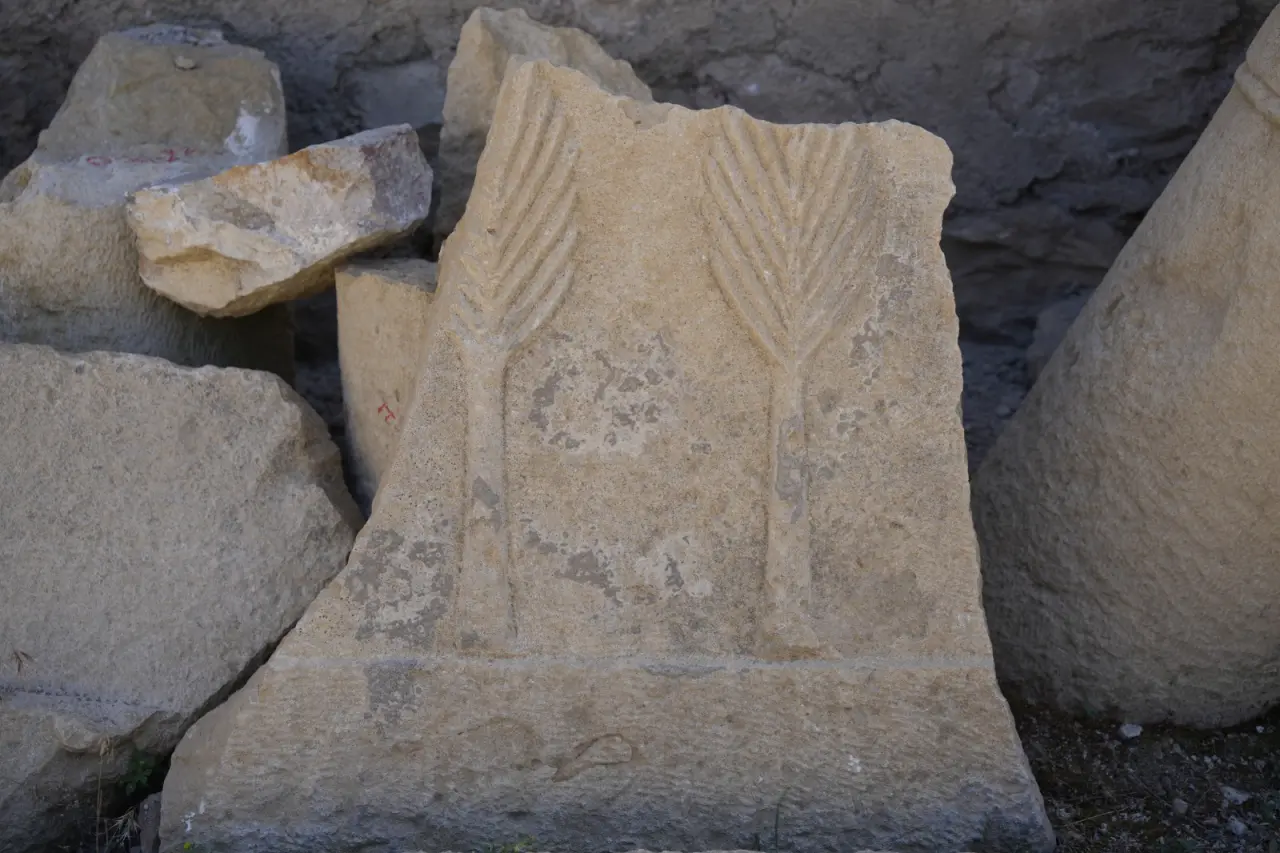 Anadolu’nun en narin kadın iskeletleri Satala’da ortaya çıktı 12