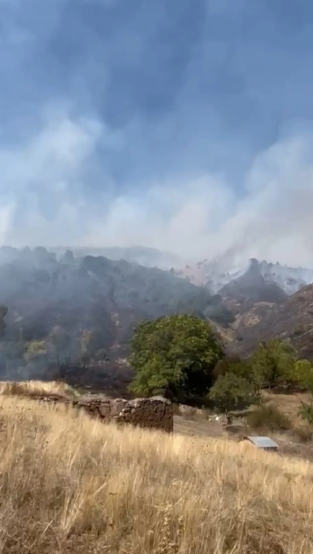 Kelkit'te yangın: 30 hektarlık alan küle döndü 7