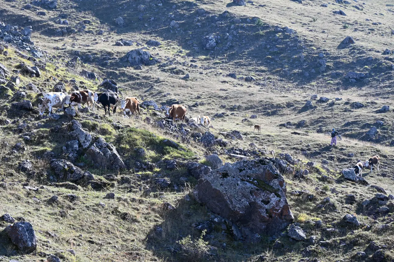 Gümüşhane'de genç muhtarın Türkiye'ye ilham veren başarı hikayesi 6