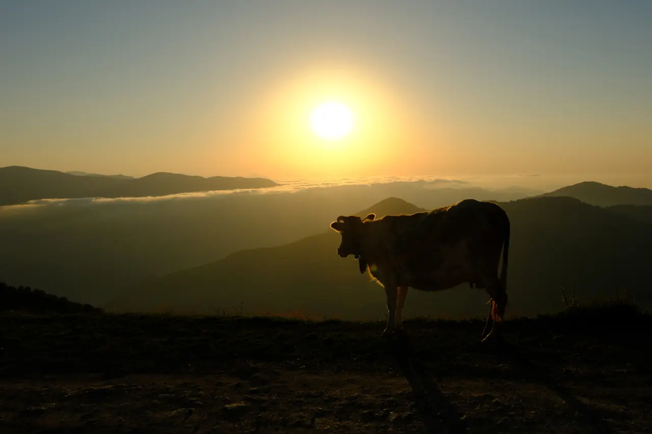 Gümüşhane'nin gizli cenneti Çetlüce Yaylası'nda sis denizi manzarası 8