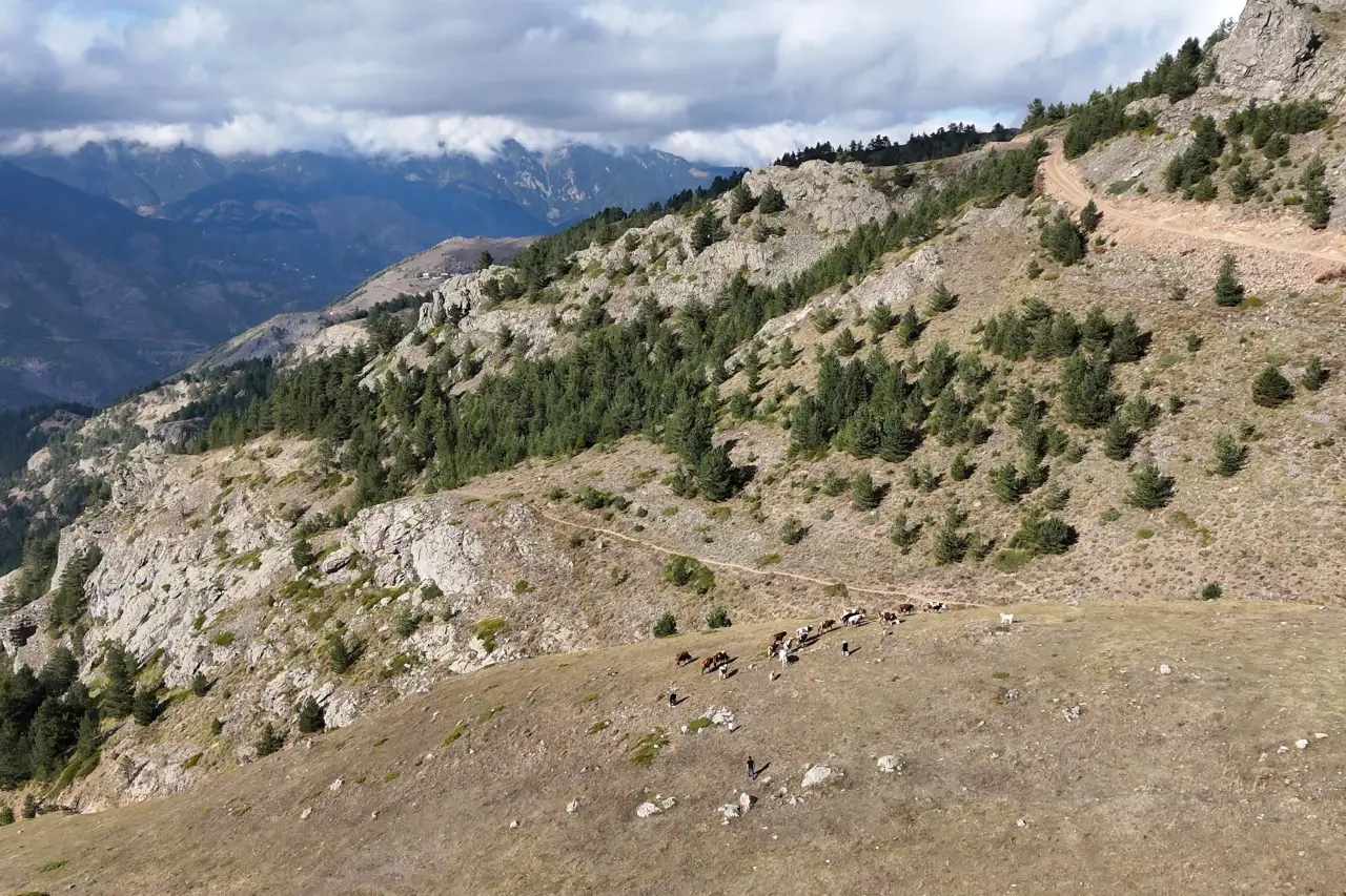 Gümüşhane'de genç muhtarın Türkiye'ye ilham veren başarı hikayesi 1