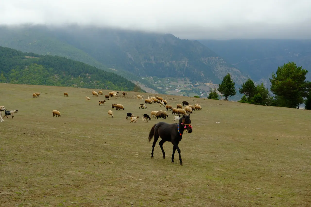 GÜDAK’ın ilk sonbahar kampı Aytora’da gerçekleştirildi 10