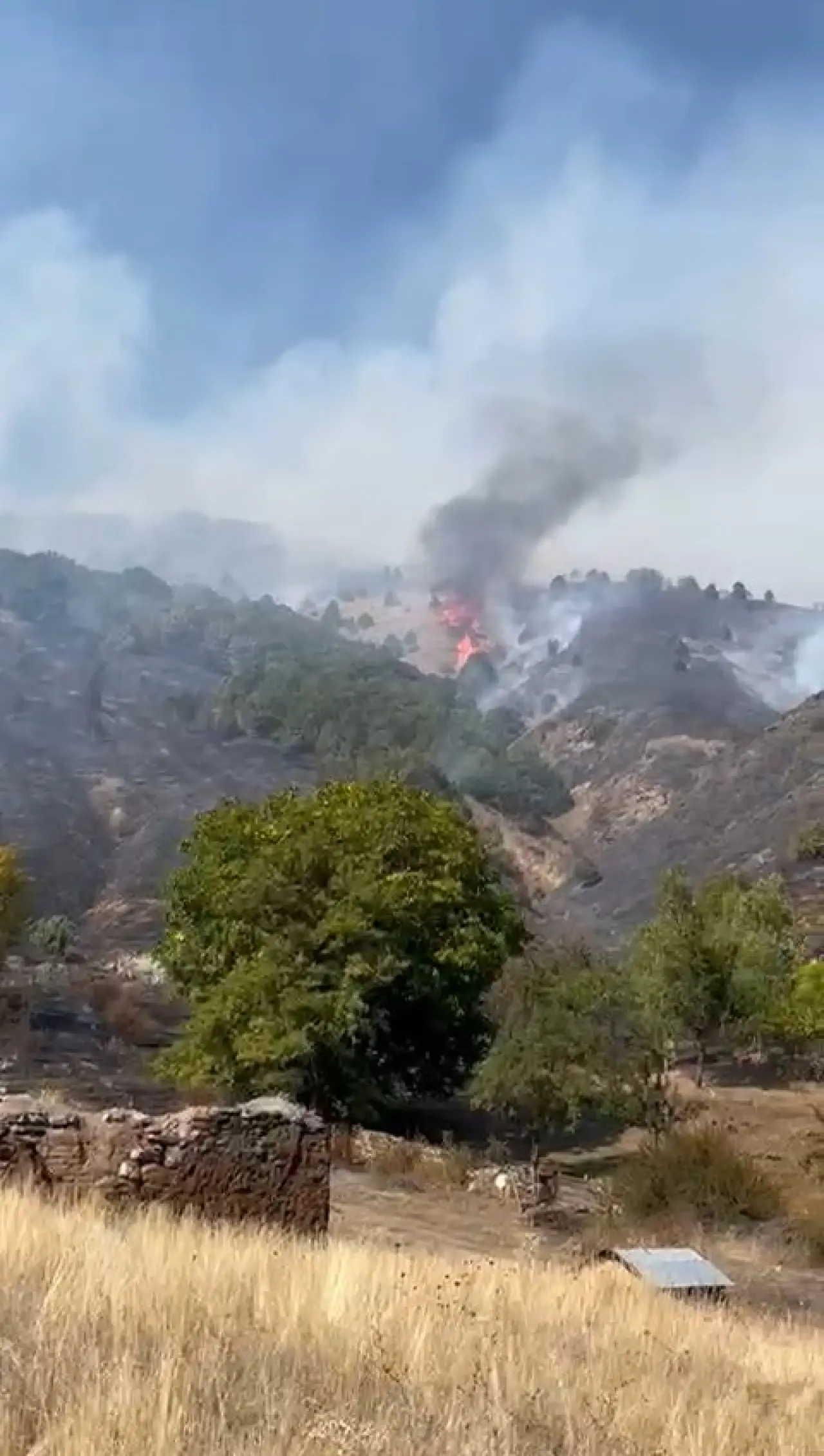 Kelkit'te yangın: 30 hektarlık alan küle döndü 6