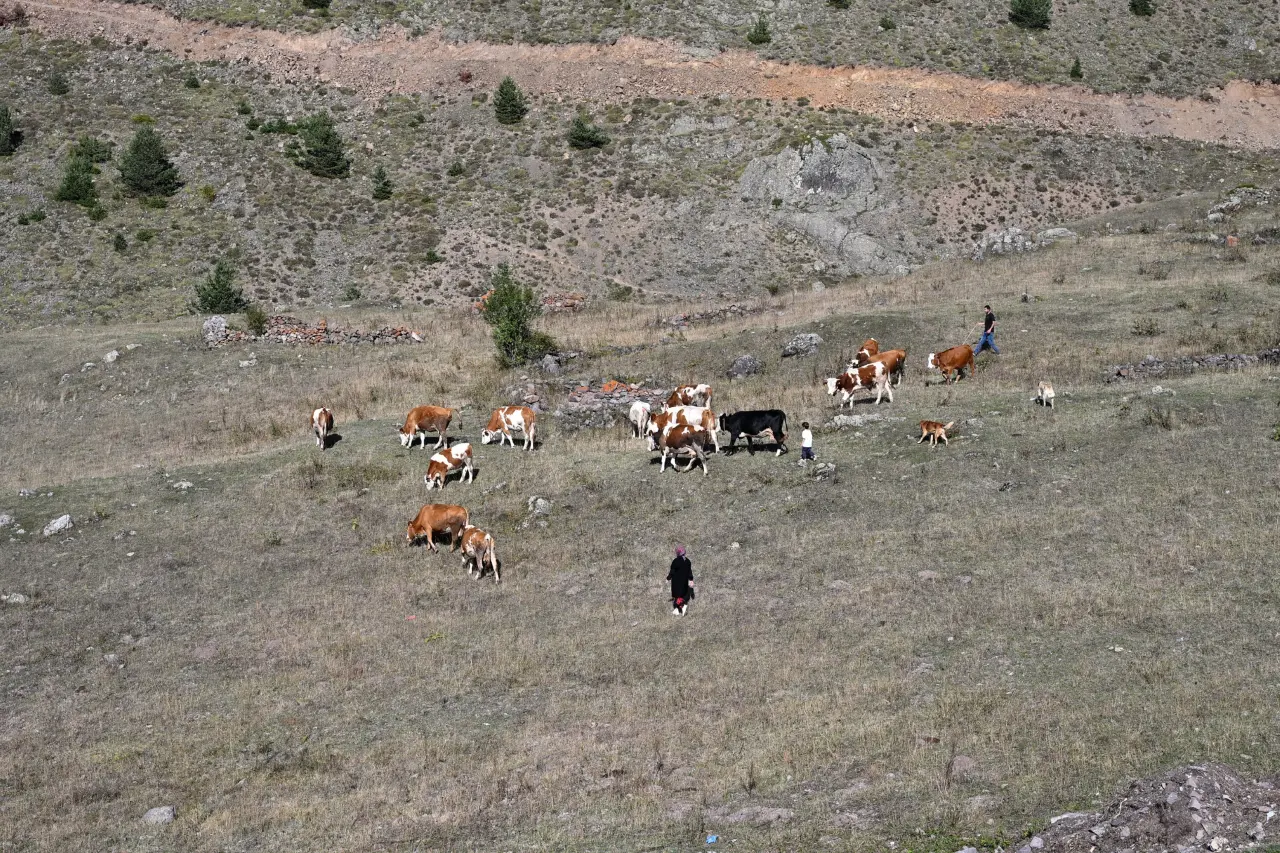 Gümüşhane'de genç muhtarın Türkiye'ye ilham veren başarı hikayesi 8