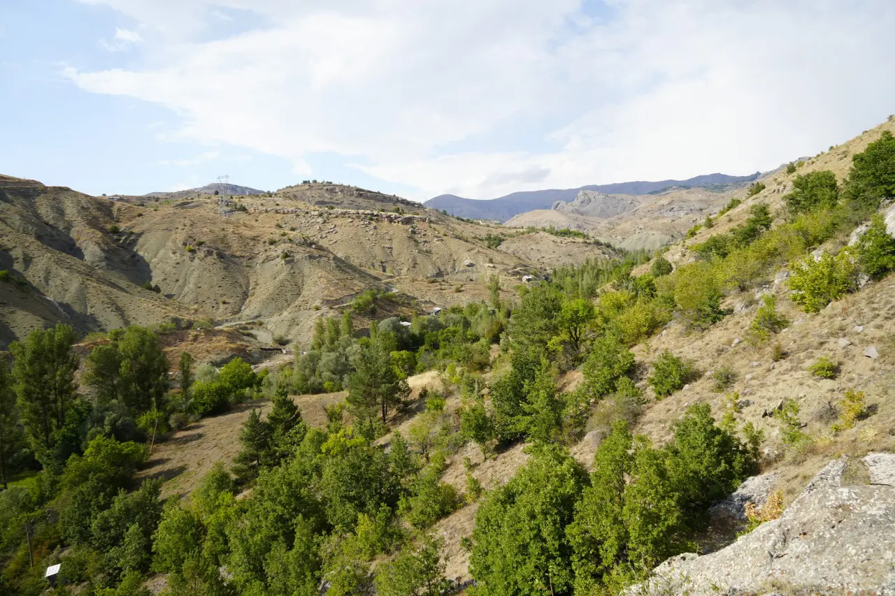 Gümüşhane’de milyonlarca yıllık deniz fosili yatağı 10