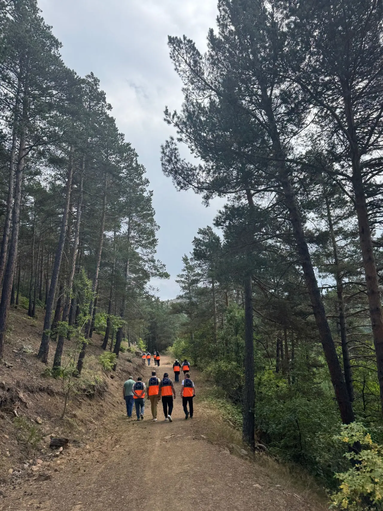 Gümüşhane’de Destek AFAD Gönüllüleri Kent Ormanında buluştu 5