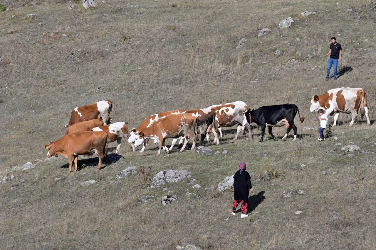 Gümüşhane'de genç muhtarın Türkiye'ye ilham veren başarı hikayesi 9