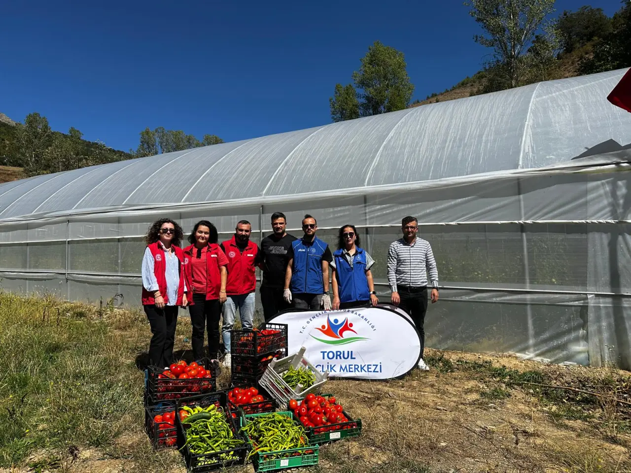 Gümüşhane’de seralarda Gönüllü Hasat yapıldı 4