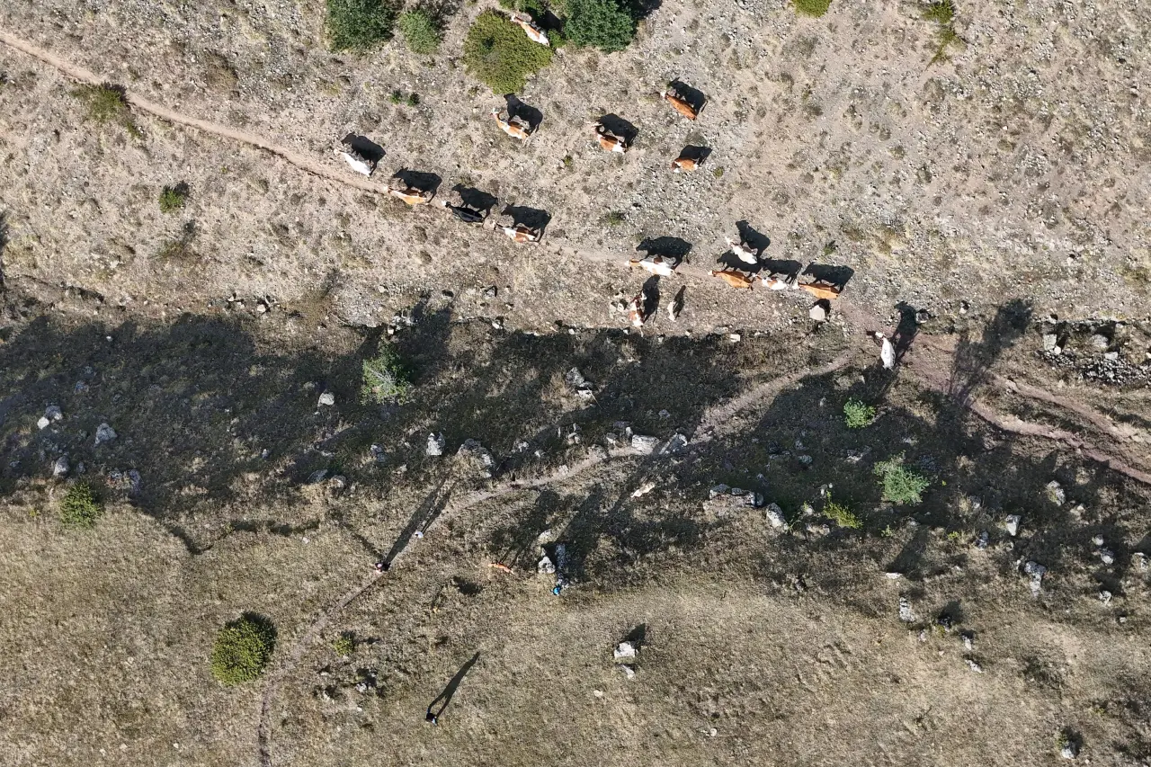 Gümüşhane'de genç muhtarın Türkiye'ye ilham veren başarı hikayesi 2