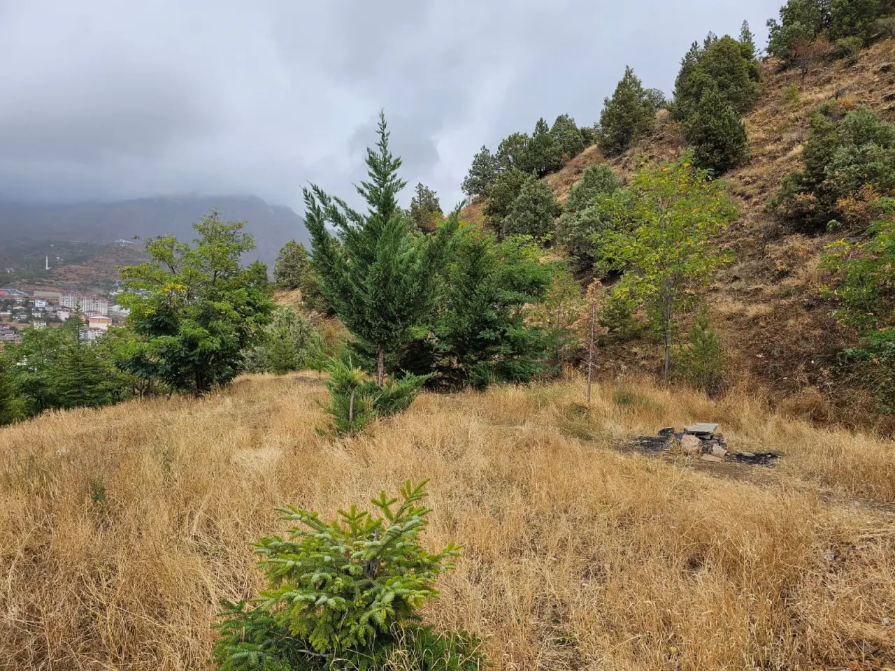 Gençlerden Örnek Davranış: Süleymaniye Mahallesi Pırıl Pırıl! 3