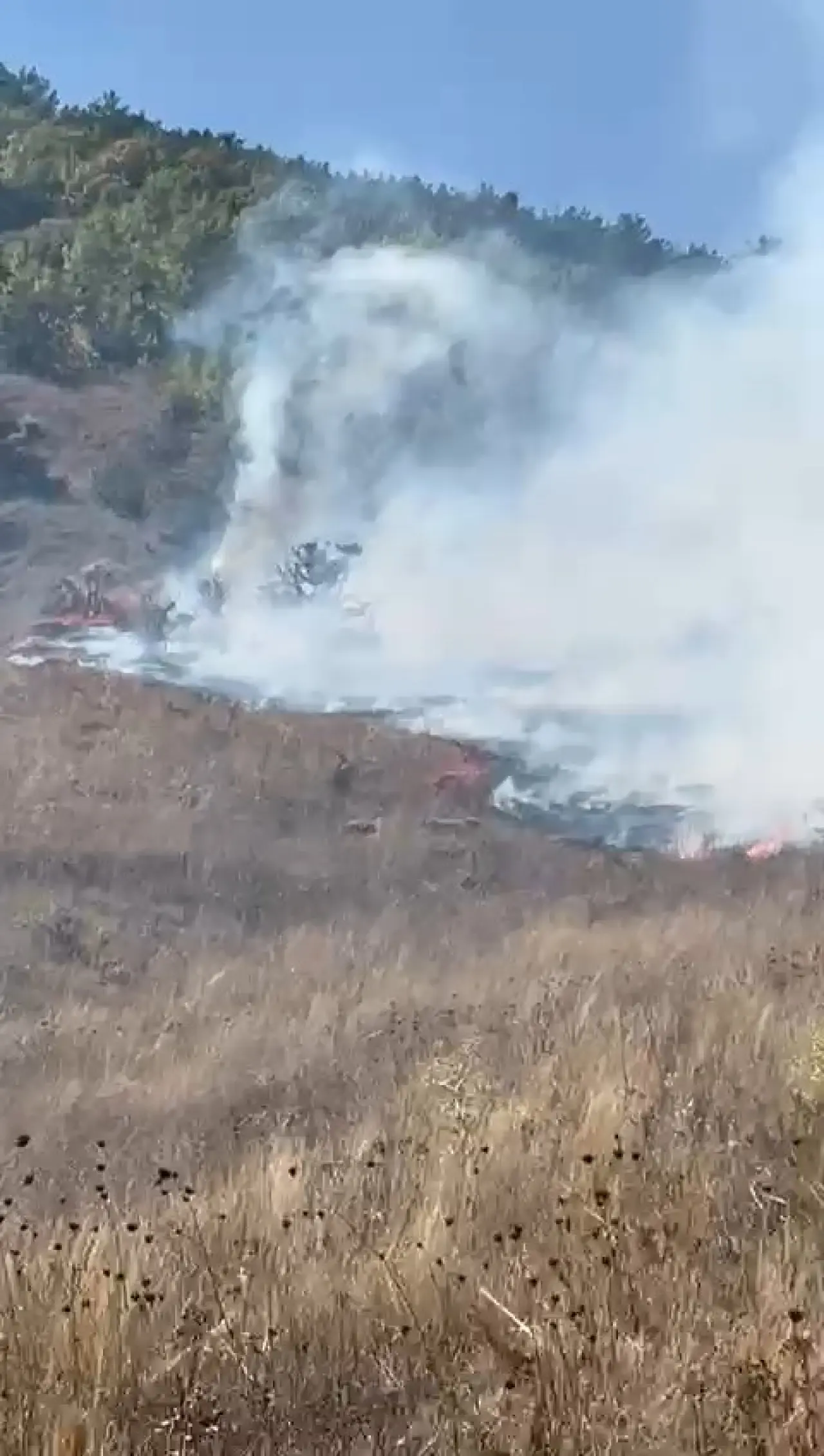 Kelkit'te yangın: 30 hektarlık alan küle döndü 10