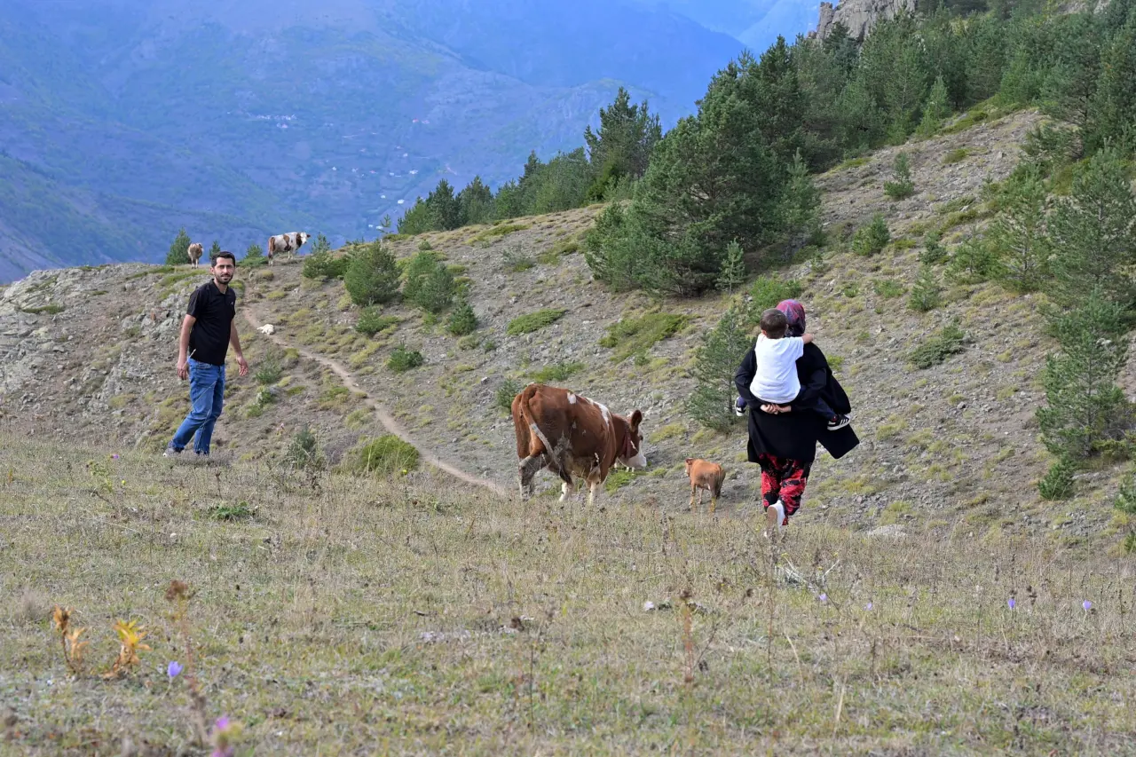 Gümüşhane'de genç muhtarın Türkiye'ye ilham veren başarı hikayesi 10