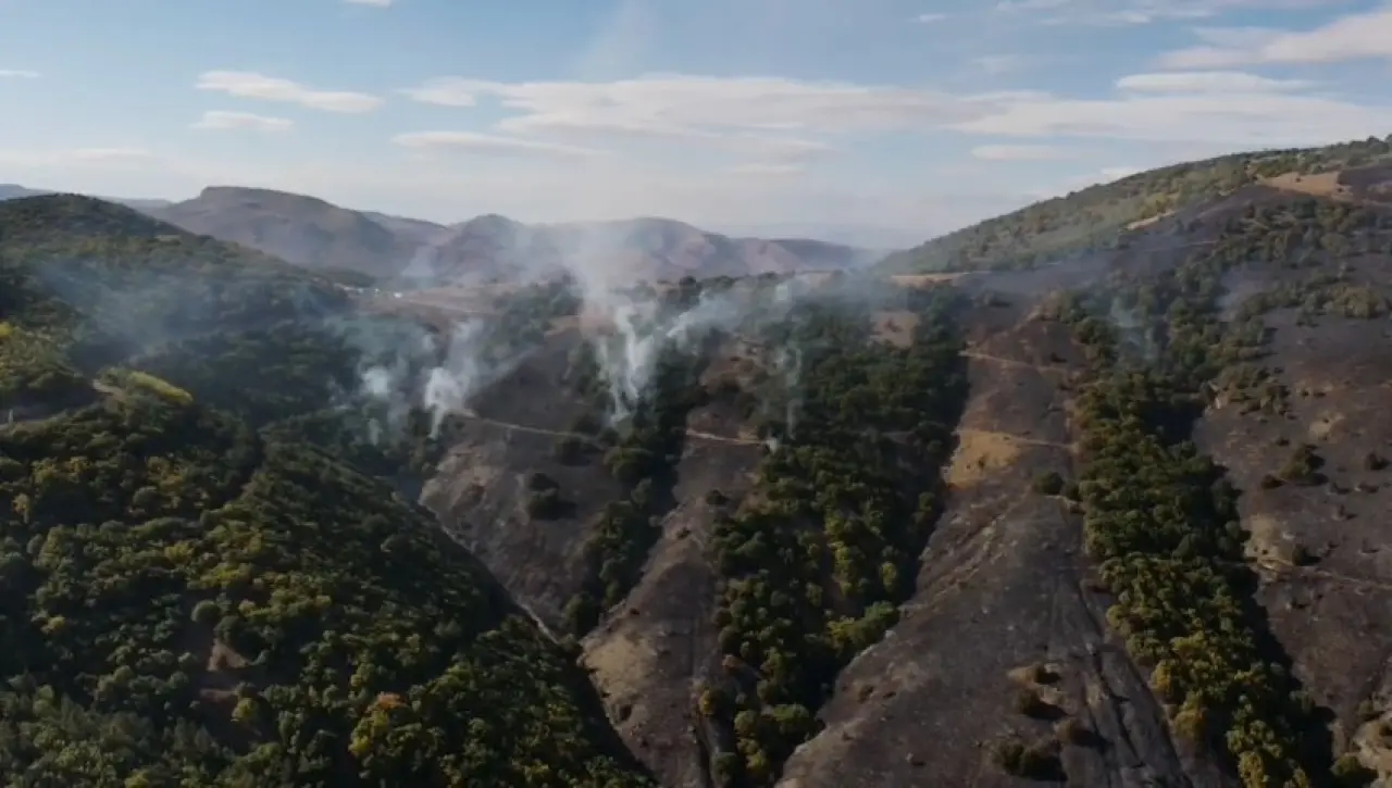 Kelkit'te yangın: 30 hektarlık alan küle döndü 4