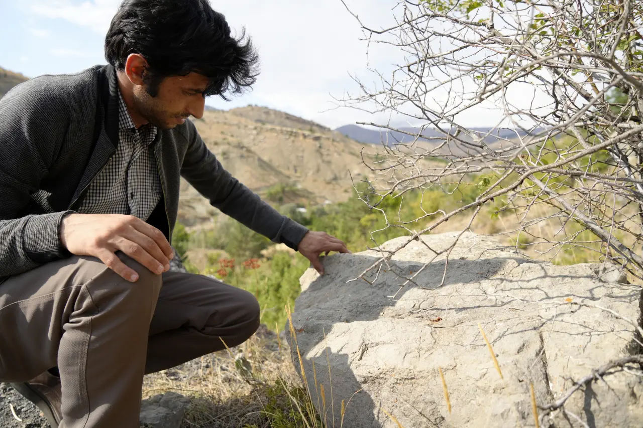 Gümüşhane’de milyonlarca yıllık deniz fosili yatağı 8