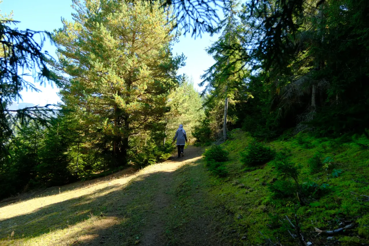GÜDAK’ın ilk sonbahar kampı Aytora’da gerçekleştirildi 7