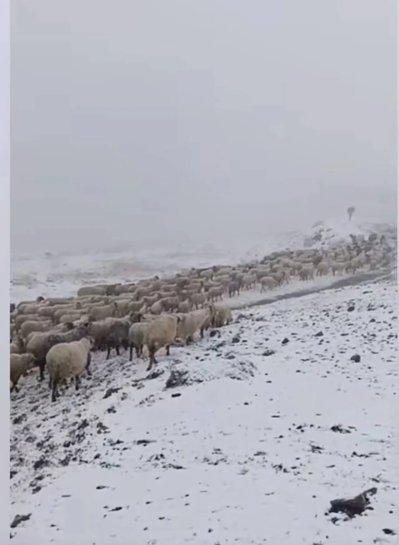 Gümüşhane'de hava soğudu, yüksekler kara teslim oldu 6