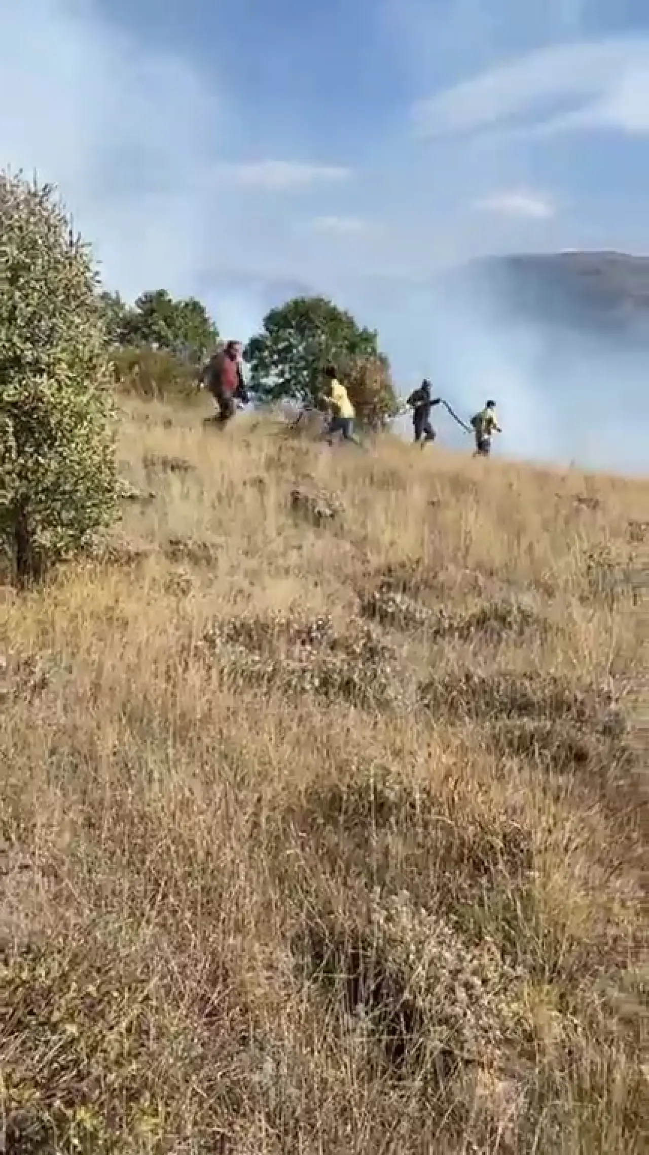 Kelkit'te yangın: 30 hektarlık alan küle döndü 1