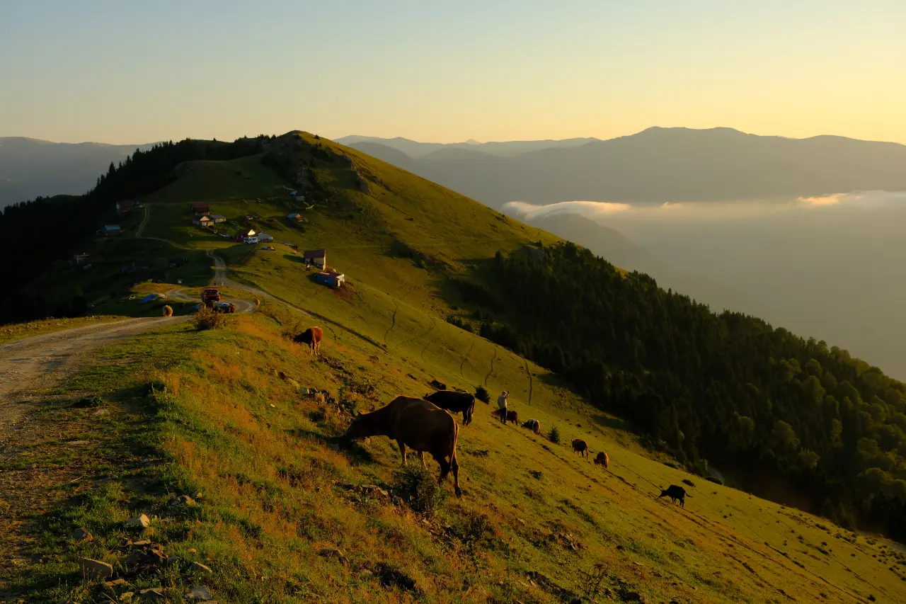 Gümüşhane'nin gizli cenneti Çetlüce Yaylası'nda sis denizi manzarası 10