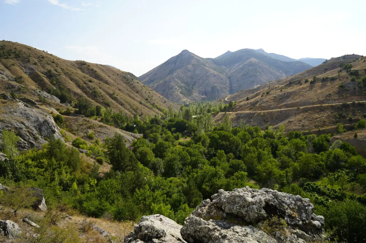 Gümüşhane’de milyonlarca yıllık deniz fosili yatağı 9
