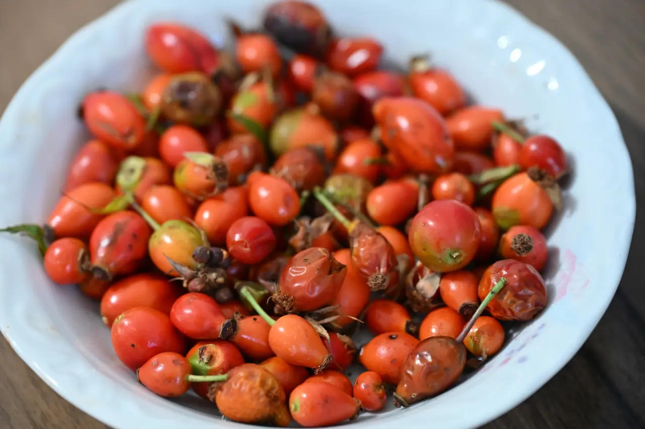 Gümüşhane'nin "Dikenli Gülü" kuşburnu, zahmetli yolculukla sofraya geliyor 5