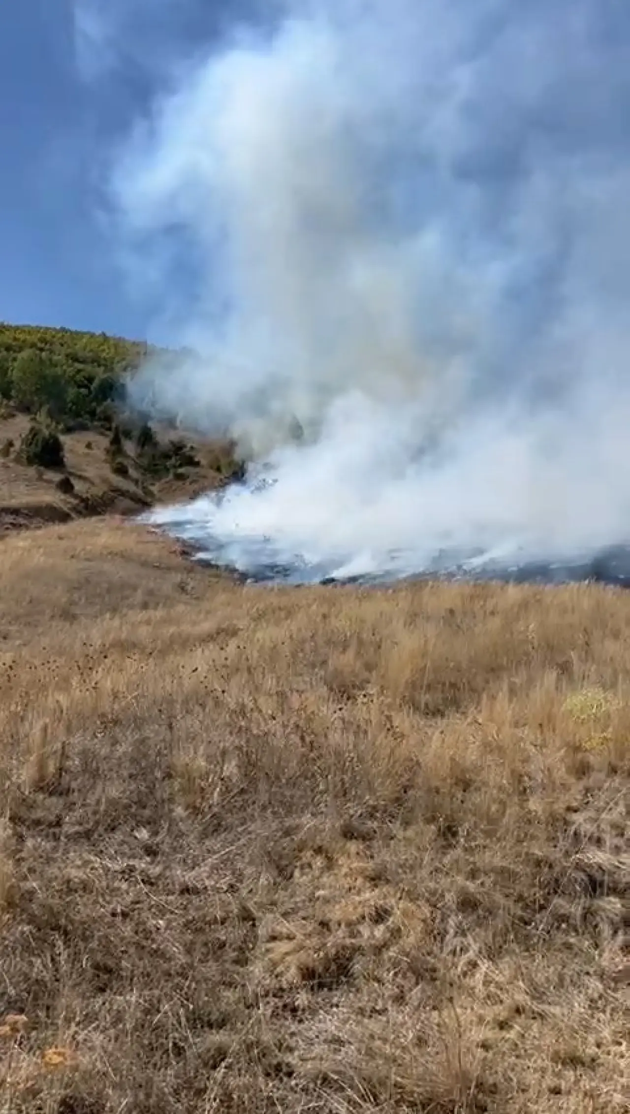 Kelkit'te yangın: 30 hektarlık alan küle döndü 5
