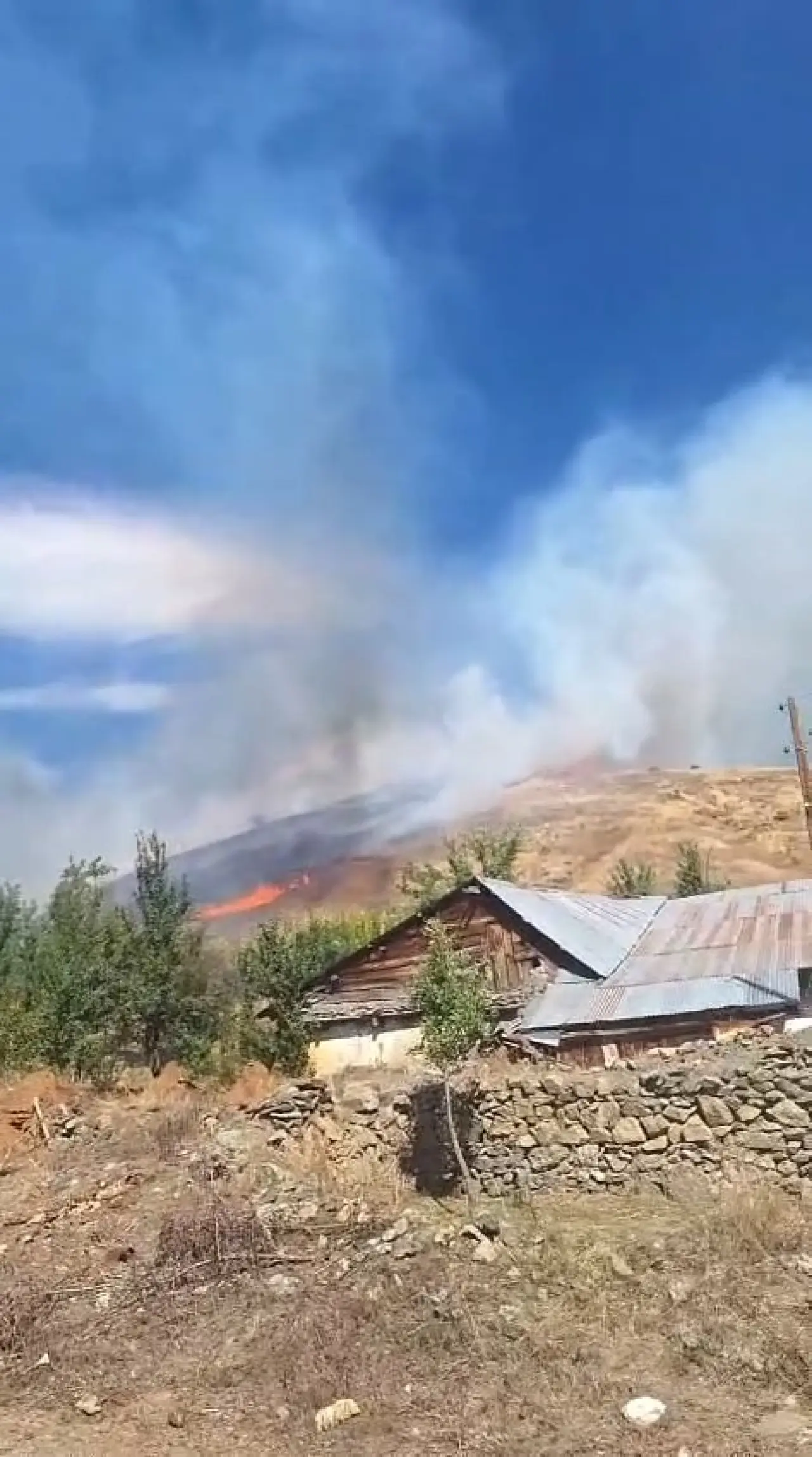 Kelkit'te yangın: 30 hektarlık alan küle döndü 2