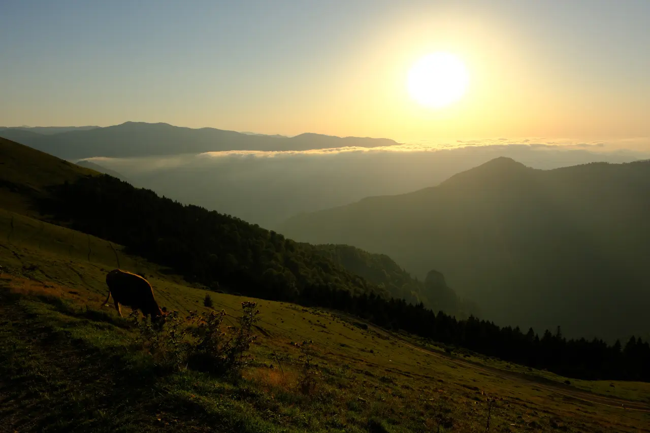 Gümüşhane'nin gizli cenneti Çetlüce Yaylası'nda sis denizi manzarası 4