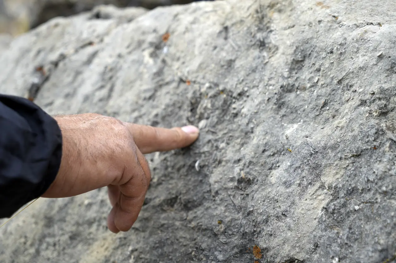 Gümüşhane’de milyonlarca yıllık deniz fosili yatağı 6