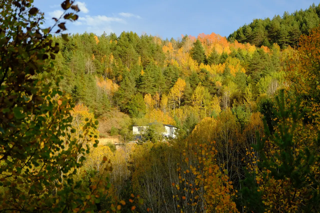 Gümüşhane'nin Alpleri aratmayan sonbahar güzelliği 7