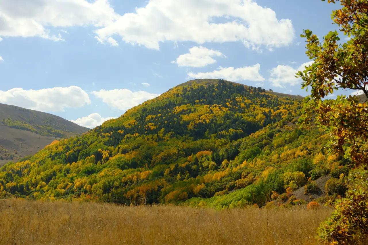 "Sonbaharın Başkenti" Gümüşhane renk cümbüşüne döndü 21