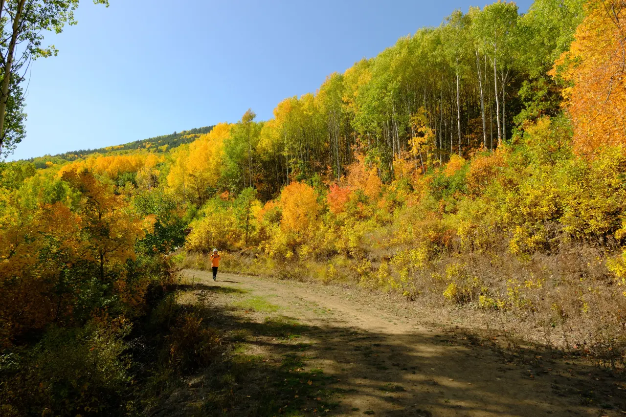 "Sonbaharın Başkenti" Gümüşhane renk cümbüşüne döndü 17
