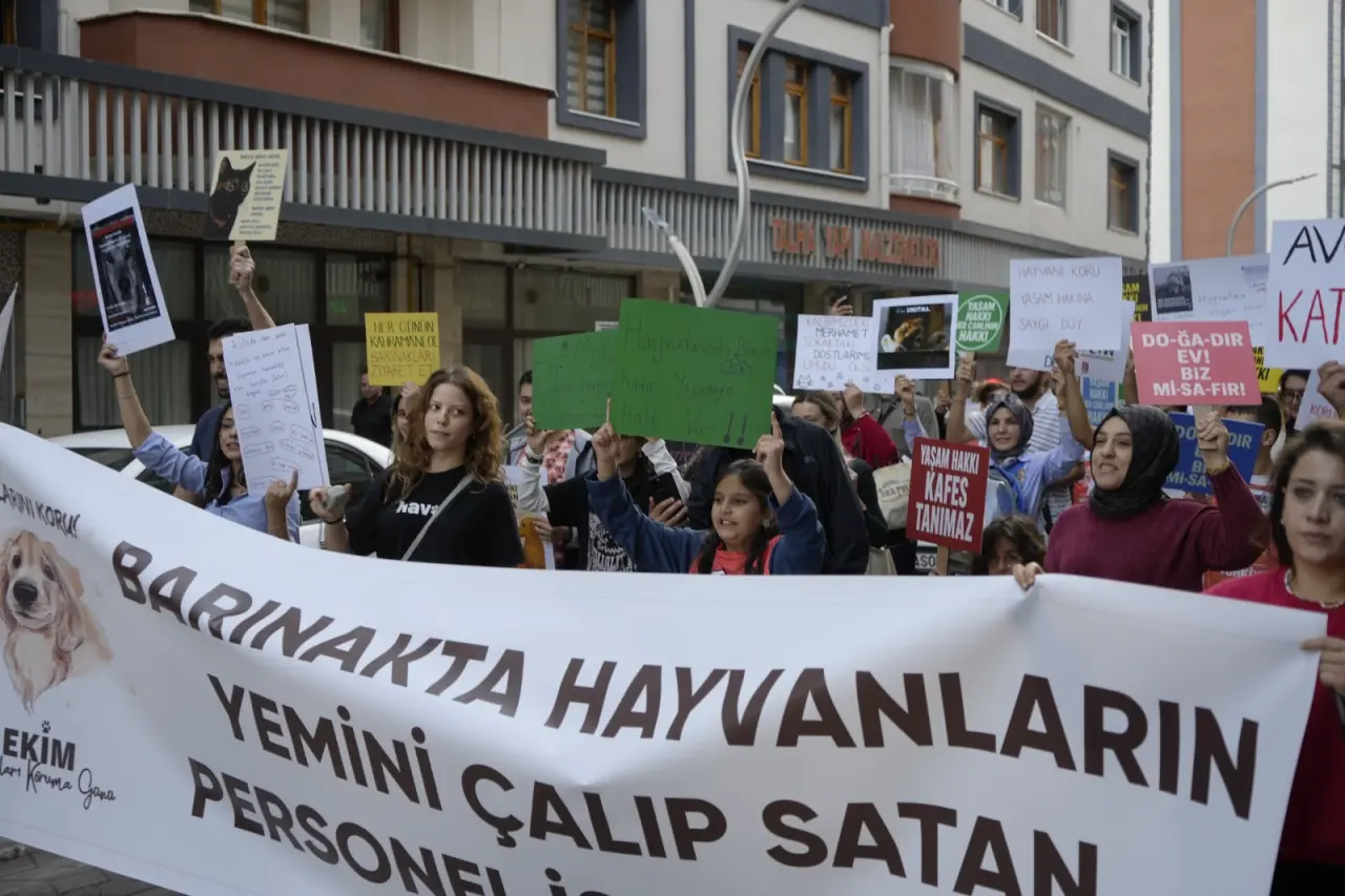 Gümüşhane’de Hayvanları Koruma Günü’nde anlamlı yürüyüş 7