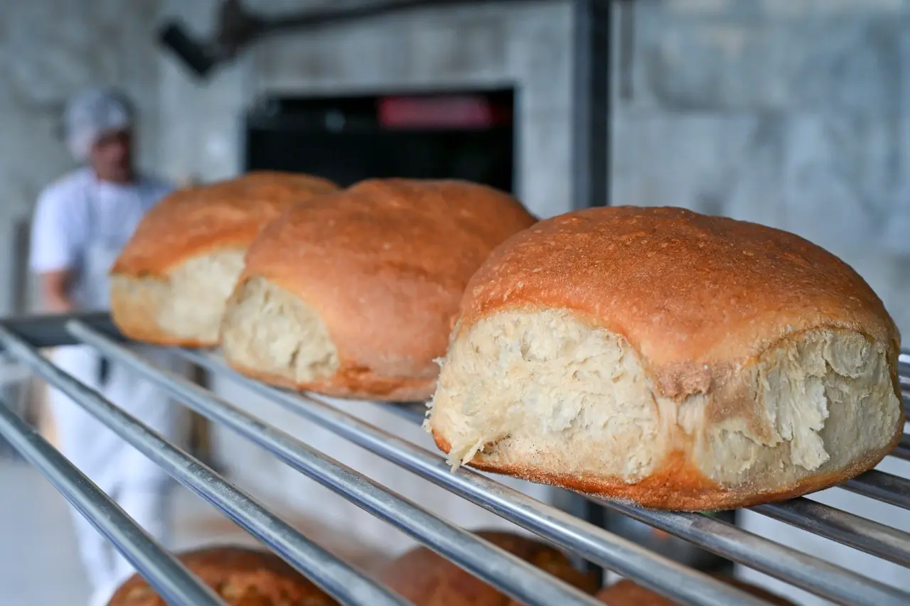 Bu ekmeği alan 1 hafta başka ekmek almıyor 17