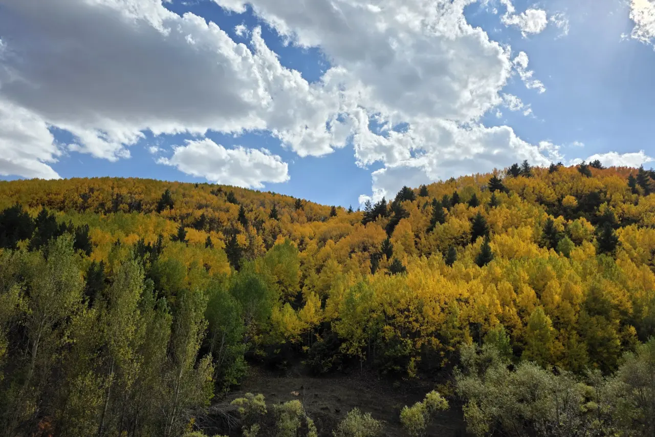 "Sonbaharın Başkenti" Gümüşhane renk cümbüşüne döndü 2