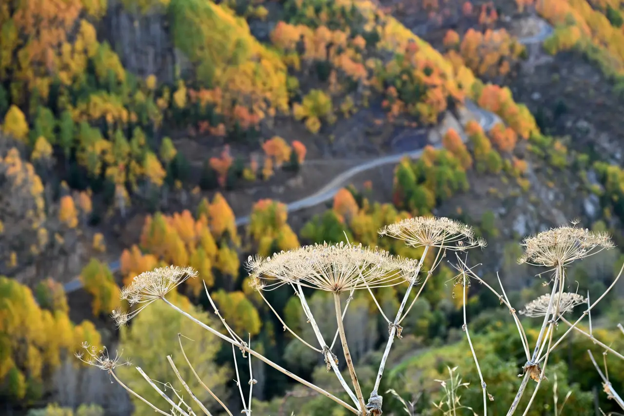 Gümüşhane’de 675 yıllık tarih sonbahar renkleriyle buluştu 20