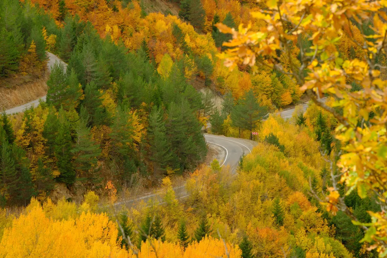 Zigana’nın tünelini değil, manzarasını seçtiler 16