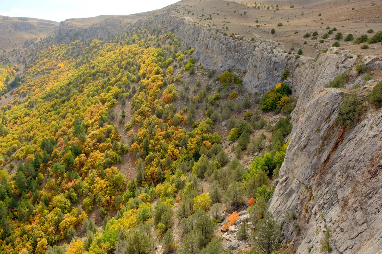 "Sonbaharın Başkenti" Gümüşhane renk cümbüşüne döndü 25