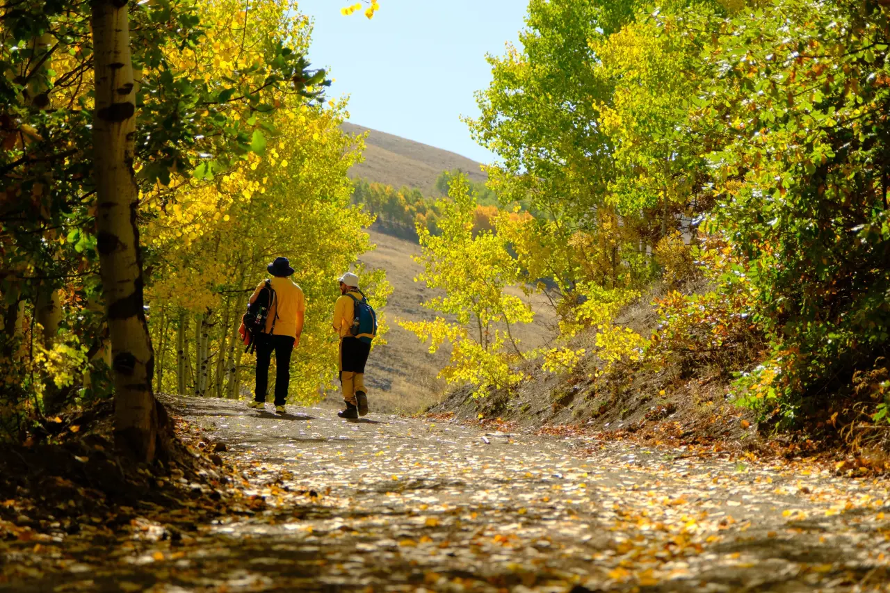 "Sonbaharın Başkenti" Gümüşhane renk cümbüşüne döndü 12