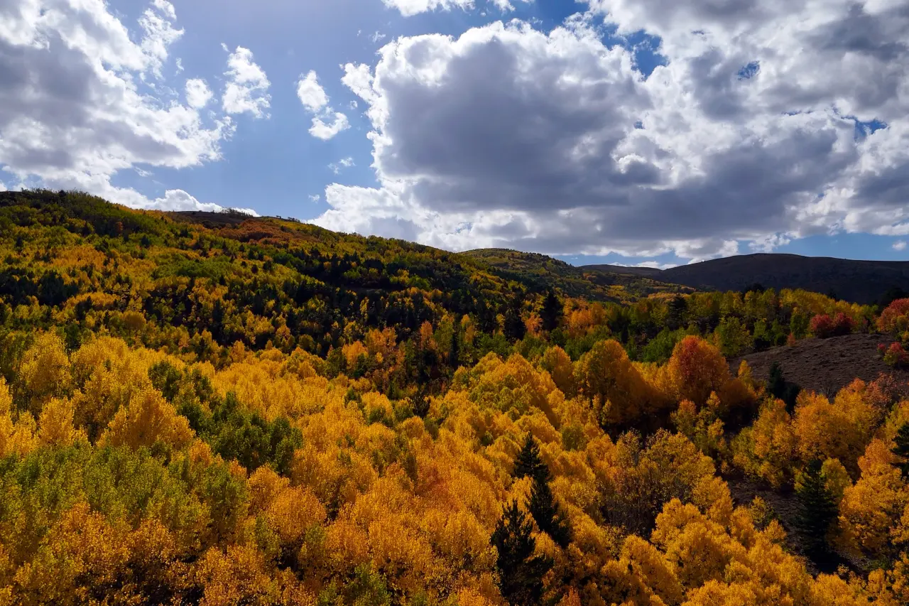 "Sonbaharın Başkenti" Gümüşhane renk cümbüşüne döndü 33