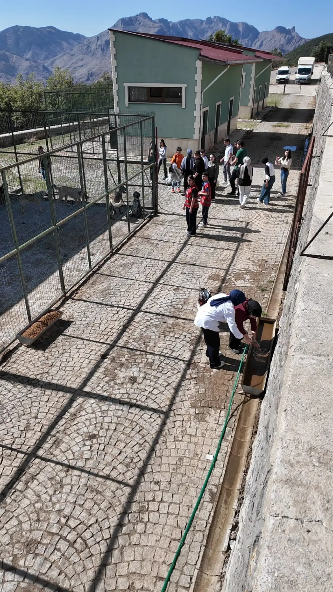 Gümüşhane'de Hayvanları Koruma Günü'nde Kalpleri Isıtan Etkinlik! 2