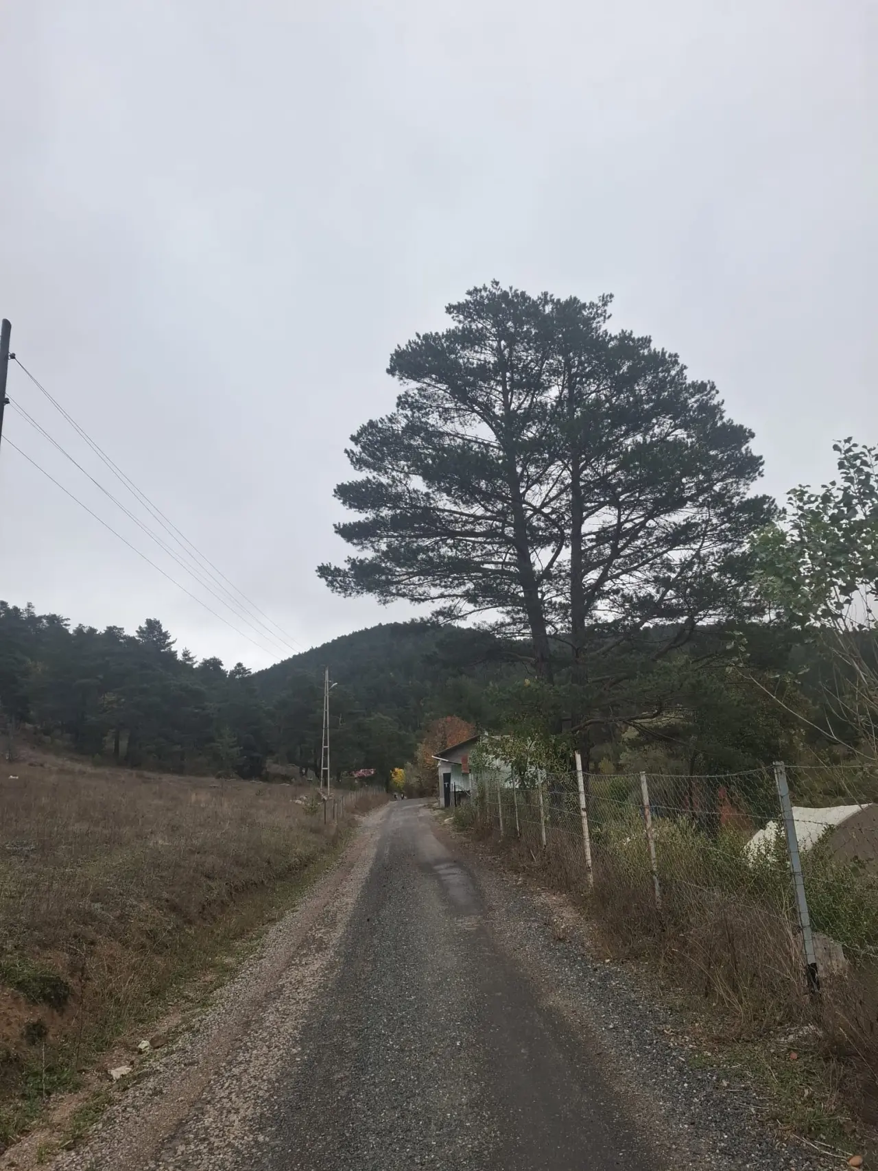 İzcilerden "Doğanın Büyüsüne Ortak Ol" yürüyüşü 5