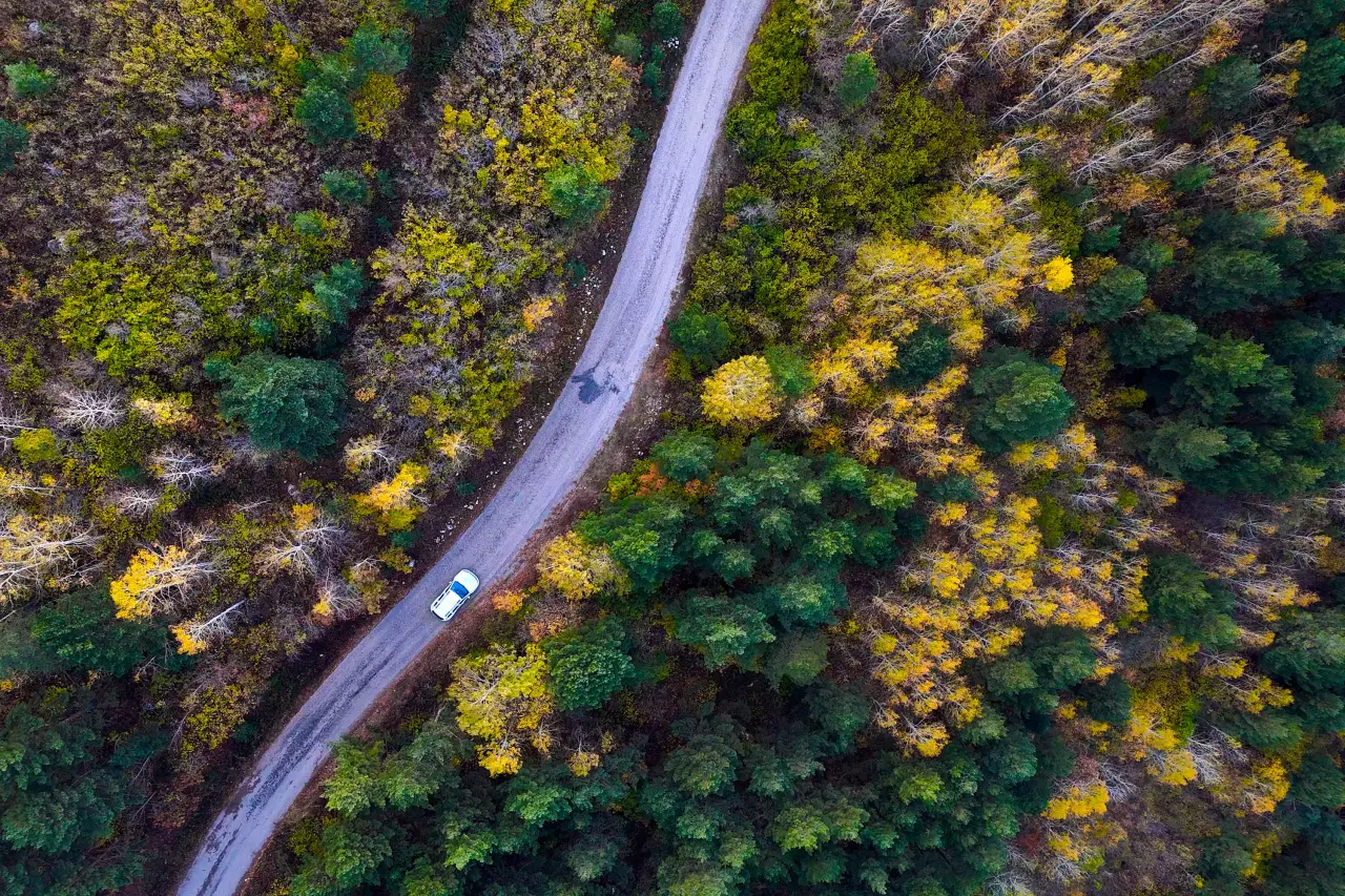 Gümüşhane'nin Alpleri aratmayan sonbahar güzelliği 19