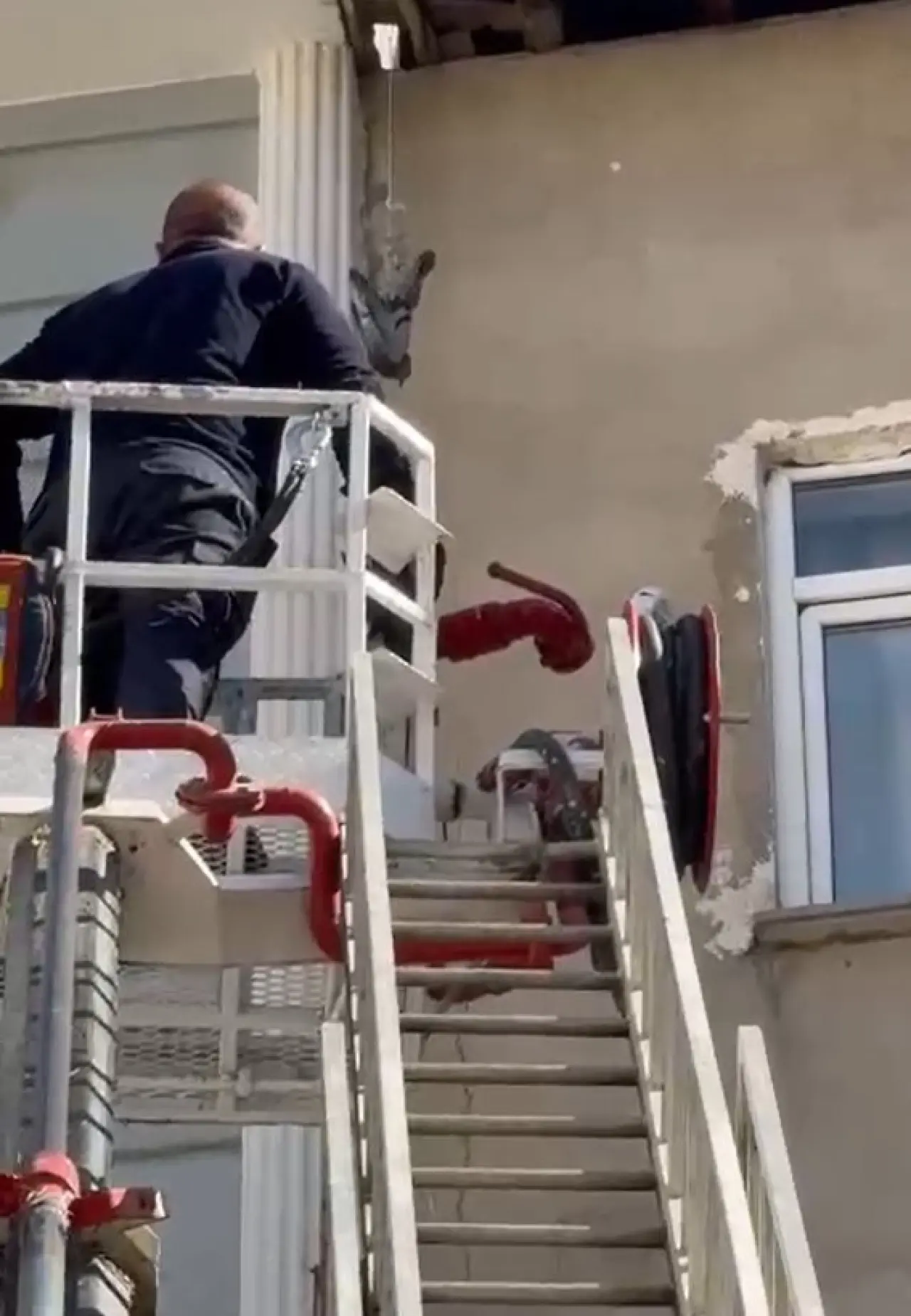 Gümüşhane’de İtfaiye çaresiz güvercin için seferber oldu 2