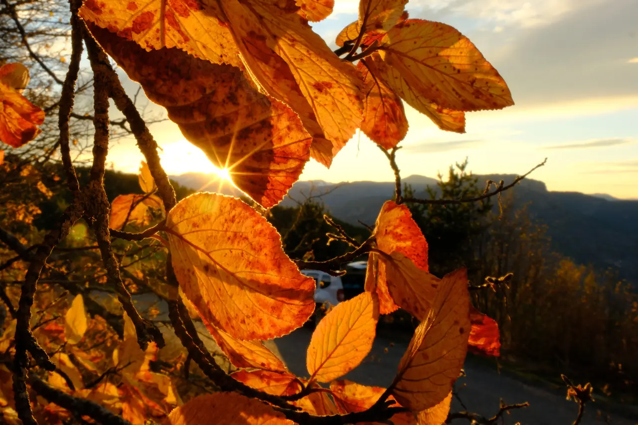 Gümüşhane'nin Alpleri aratmayan sonbahar güzelliği 13