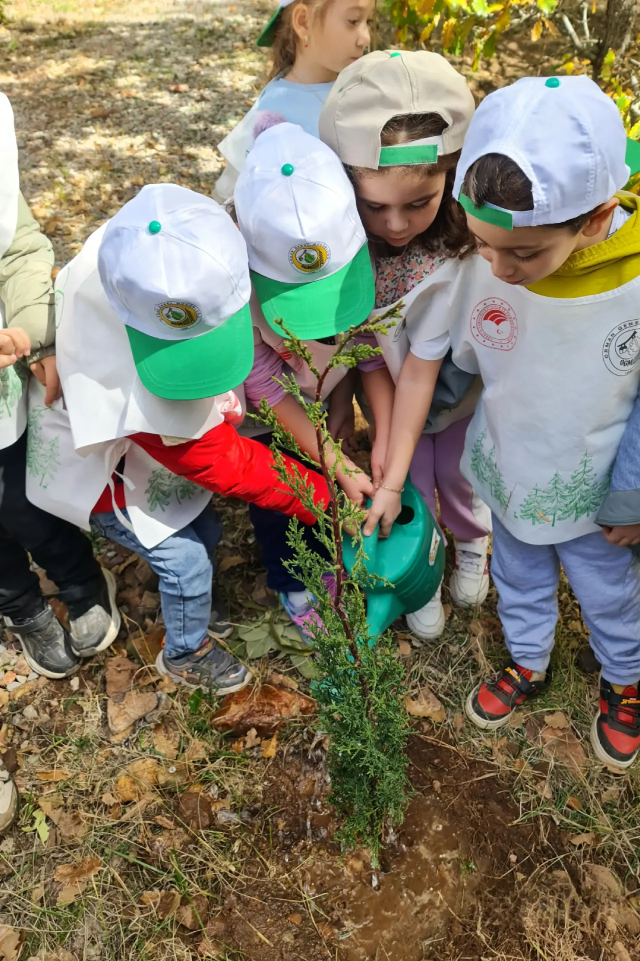 Gümüşhane'de miniklerden doğa bilinci: Çöp toplama ve fidan dikimi etkinliği gerçekleşti! 19