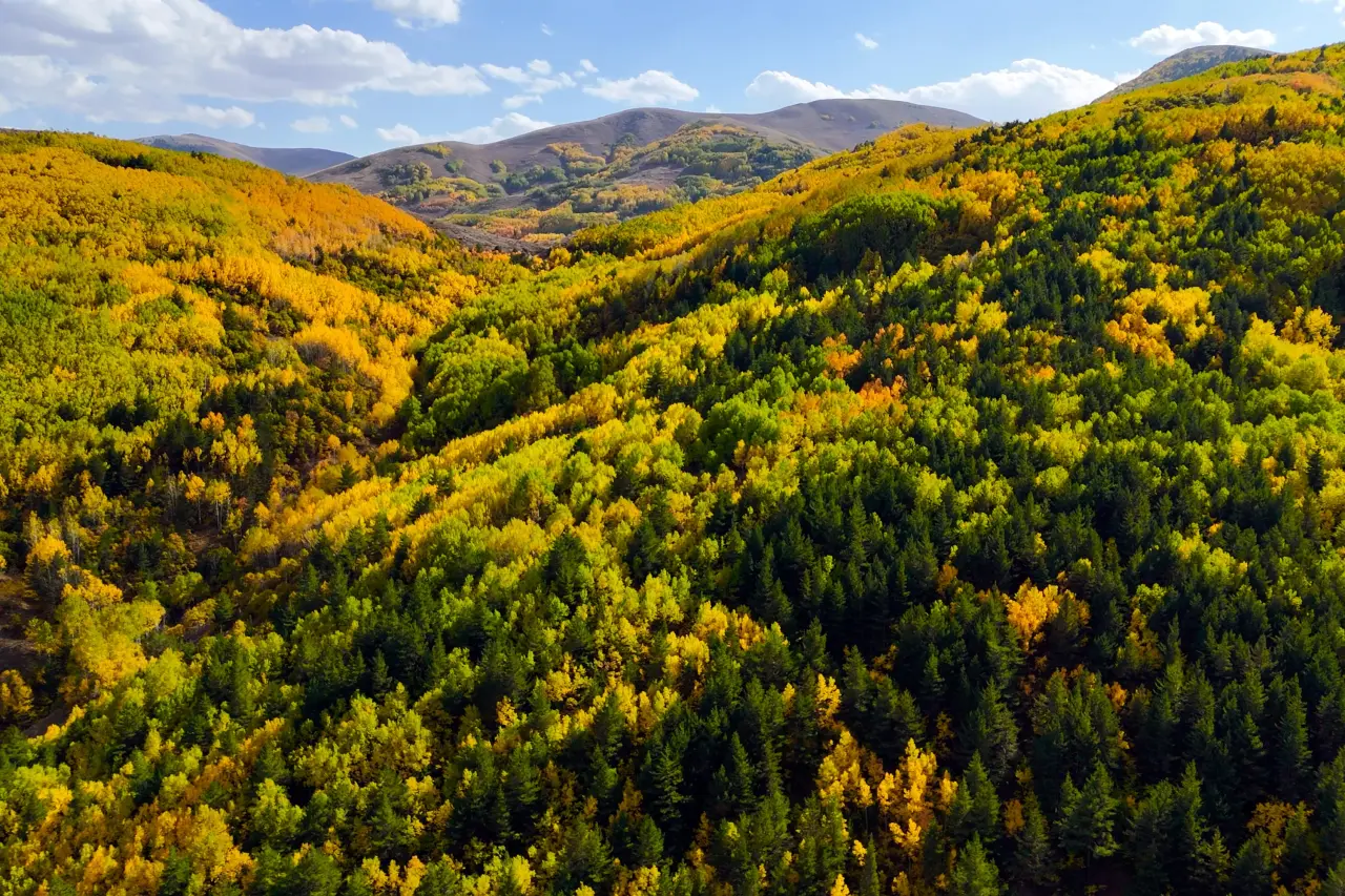 "Sonbaharın Başkenti" Gümüşhane renk cümbüşüne döndü 36
