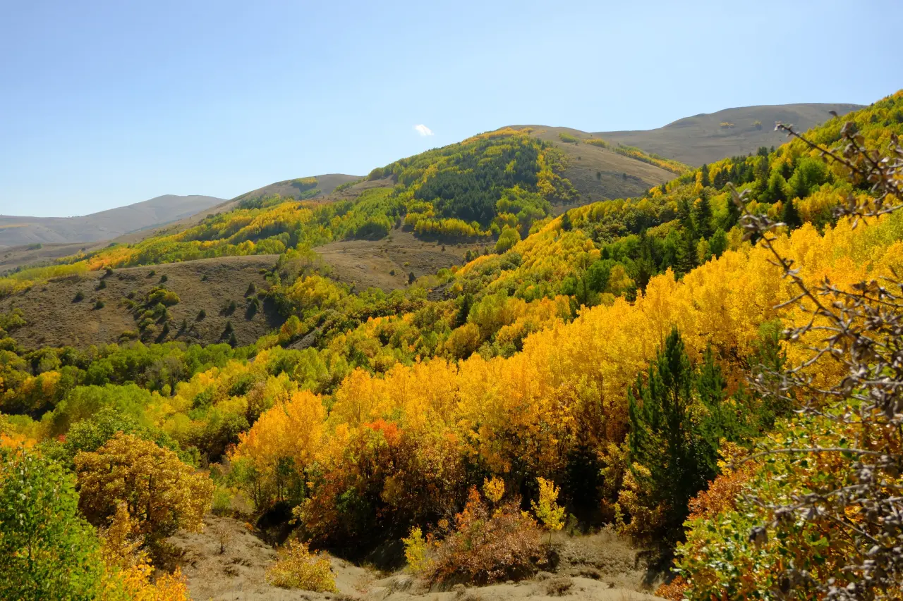 "Sonbaharın Başkenti" Gümüşhane renk cümbüşüne döndü 18
