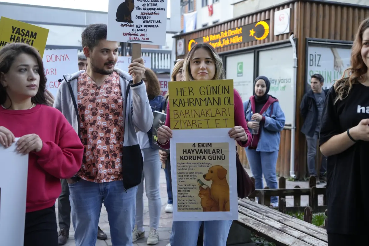 Gümüşhane’de Hayvanları Koruma Günü’nde anlamlı yürüyüş 6
