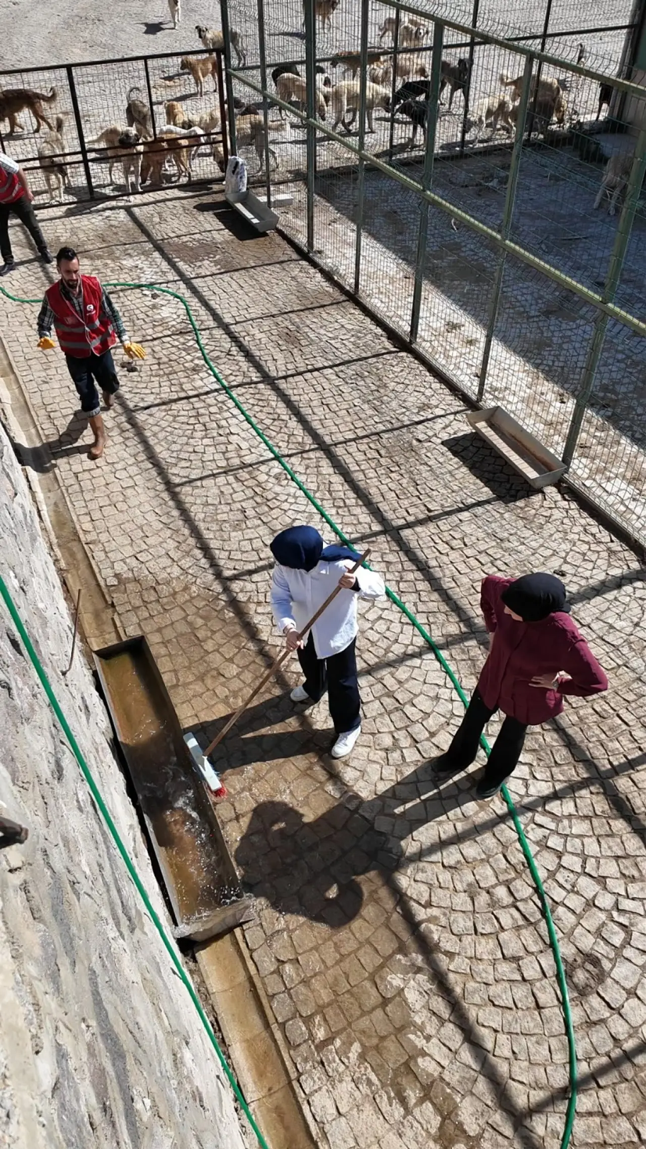 Gümüşhane'de Hayvanları Koruma Günü'nde Kalpleri Isıtan Etkinlik! 3