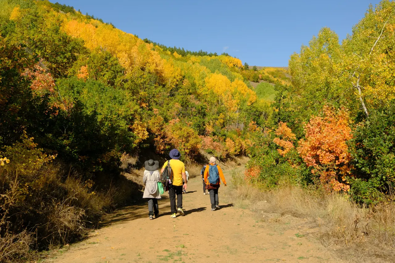 "Sonbaharın Başkenti" Gümüşhane renk cümbüşüne döndü 16